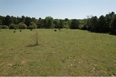 2954 County Road 2170, Grapeland, TX 75844 - Photo 14