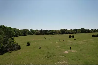 2954 County Road 2170, Grapeland, TX 75844 - Photo 16