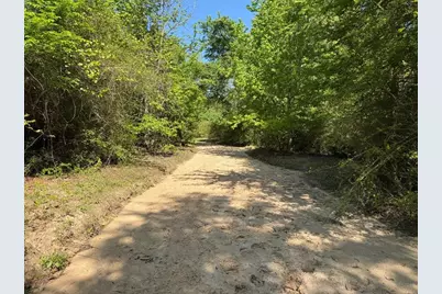 2954 County Road 2170, Grapeland, TX 75844 - Photo 26