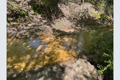 2954 County Road 2170, Grapeland, TX 75844 - Photo 10