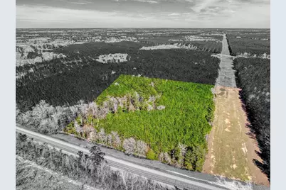 12155 State Highway 146 S, Livingston, TX 77351 - Photo 10