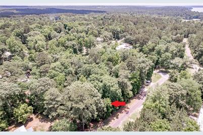 Lot 029 Hawk Lane, Trinity, TX 75862 - Photo 1
