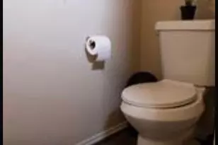 12380 Sandpiper Dr, Houston, TX 77035 - Photo 4