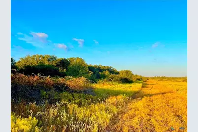 Tbd Fm-530, Hallettsville, TX 77964 - Photo 16