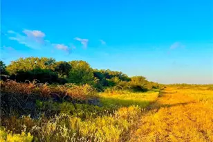 Tbd Fm-530, Hallettsville, TX 77964 - Photo 16