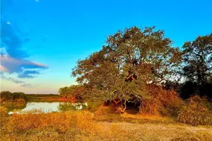 Tbd Fm-530, Hallettsville, TX 77964 - Photo 12