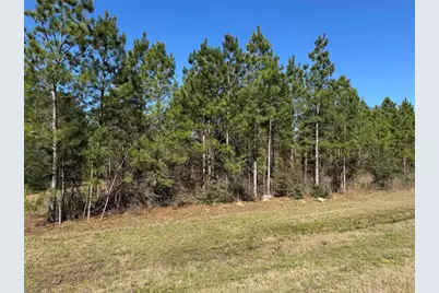 15999 Wood Grove Way, Willis, TX 77378 - Photo 8