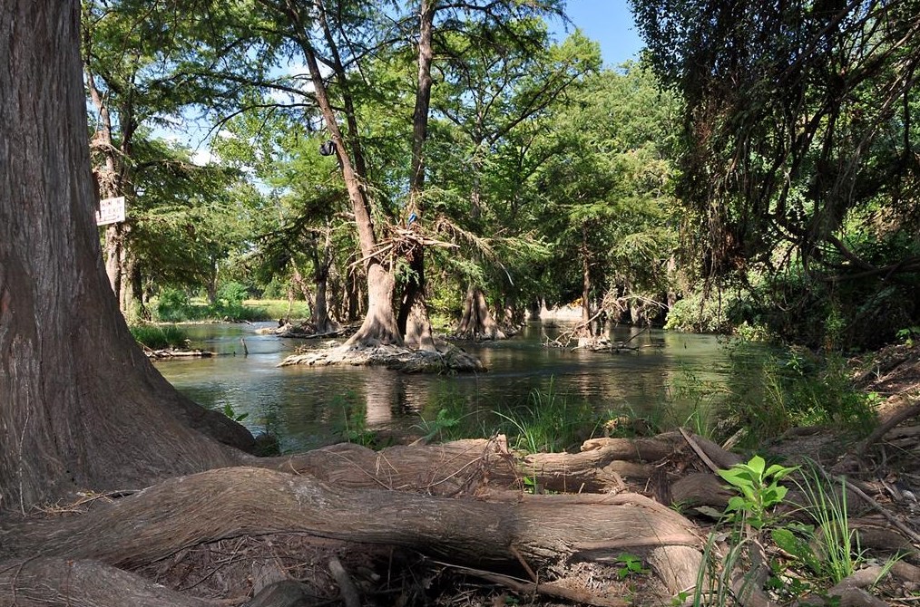 730 E Mather St #i303, New Braunfels, TX 78130