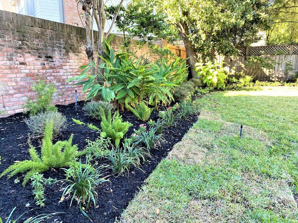 2418 Mandell, Houston TX 77005-1828 exterior