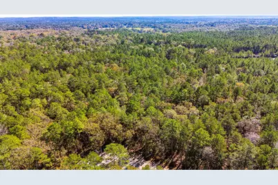 017 Magnolia Ranch Road, Onalaska, TX 77360 - Photo 10