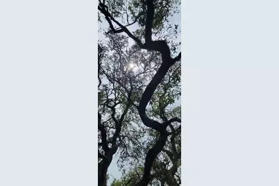 1391 Covered Wagon, Spring Branch, TX 78070 - Photo 4