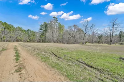 Tbd Bowling Road, Oakhurst, TX 77359 - Photo 14