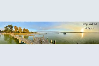 793 Big Hawg Drive, Trinity, TX 75862 - Photo 2