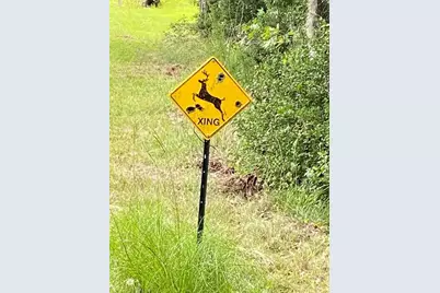 793 Big Hawg Drive, Trinity, TX 75862 - Photo 4