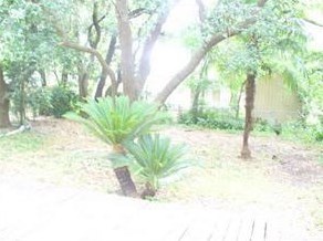 4439 1st St, Bacliff TX  77518-1617 exterior