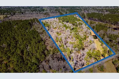 0 Shepherd Tram Drive, Shepherd, TX 77371 - Photo 4