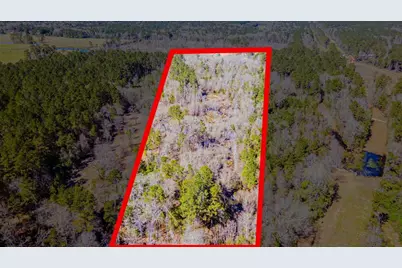 0 Shepherd Tram Drive, Shepherd, TX 77371 - Photo 1