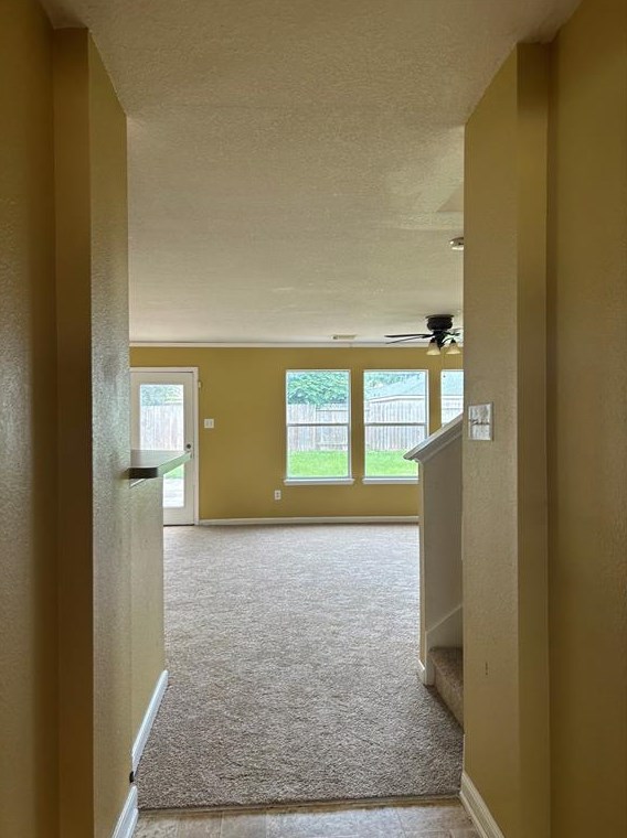 8131 Tassel Field Ln, Humble, TX 77338