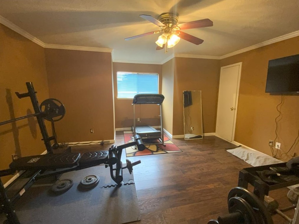 14822 Earlswood Dr, Houston TX  77083-5635 exterior