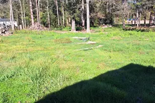 20006 Red Oaks S, New Caney, TX 77357 - Photo 1