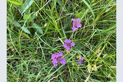 0 Fm 1791, Richards, TX 77873 - Photo 22