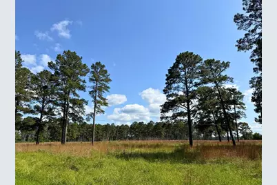 0 Fm 1791, Richards, TX 77873 - Photo 4