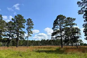 0 FM 1791, Richards, TX 77873 - Photo 4