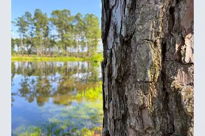 0 Fm 1791, Richards, TX 77873 - Photo 18