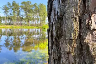 0 FM 1791, Richards, TX 77873 - Photo 18