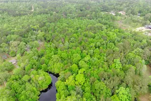 Tbd Drivers Rd, Splendora, TX 77372 - Photo 12