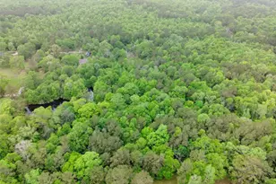 Tbd Drivers Rd, Splendora, TX 77372 - Photo 8