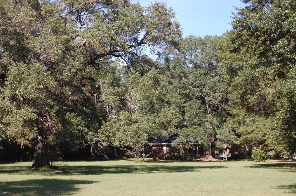 21330 Fm 2920 Rd, Hockley, TX 77447