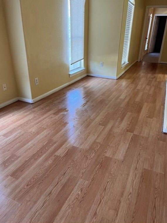 4505 Maggie St, Houston, TX 77051-2872