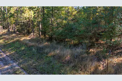 0314 Sportsman Retreat Road, Onalaska, TX 77360 - Photo 6