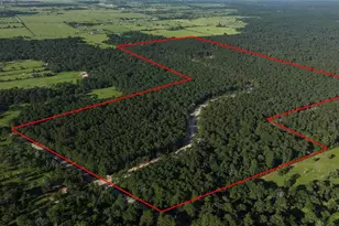 Tbd 14 Ac Fm 362 Rd, Waller, TX 77484 - Photo 1