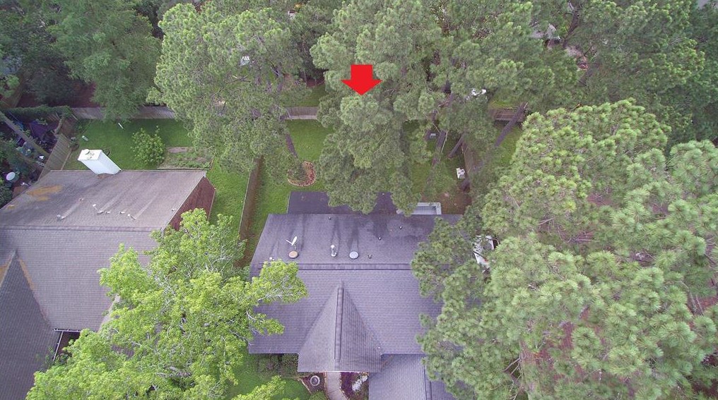 155 Village Knoll Cir, Spring TX  77381-4452 exterior