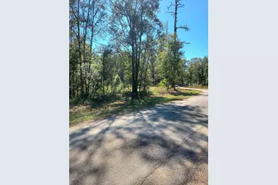 Tbd County Road 349, Cleveland, TX 77327 - Photo 1