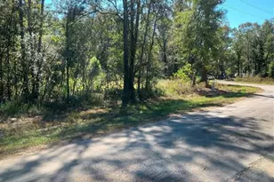 Tbd County Road 349, Cleveland, TX 77327 - Photo 1