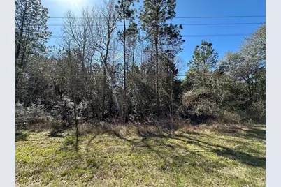 Tbd Road 2727, Cleveland, TX 77327 - Photo 4