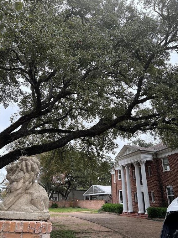 907 Morton St, Richmond TX 77469-3076 exterior