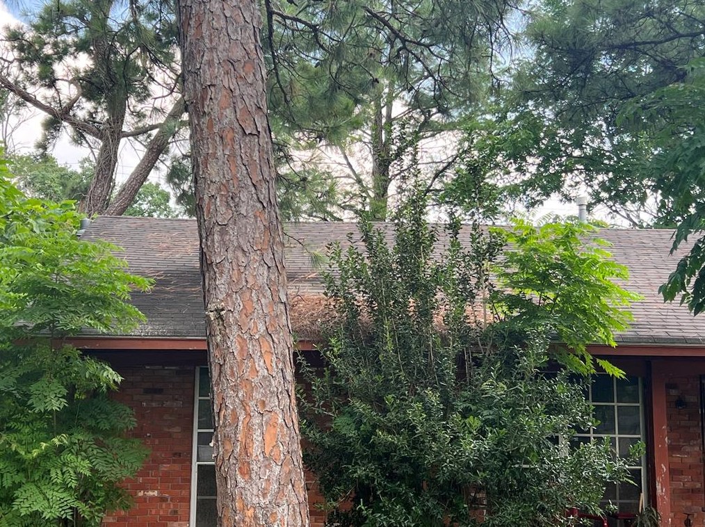 5846 Flamingo Dr, Houston TX  77033-2210 exterior