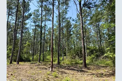 1 Camp Ruby Road, Livingston, TX 77351 - Photo 10