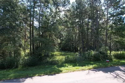 158 Tbd County Road 158, Liberty, TX 77575 - Photo 4