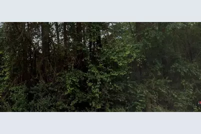 Tbd Lattimer Drive, Livingston, TX 77351 - Photo 6