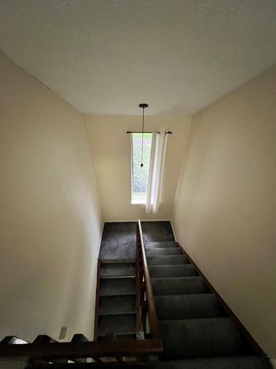 16631 Capewood Dr, Humble TX exterior