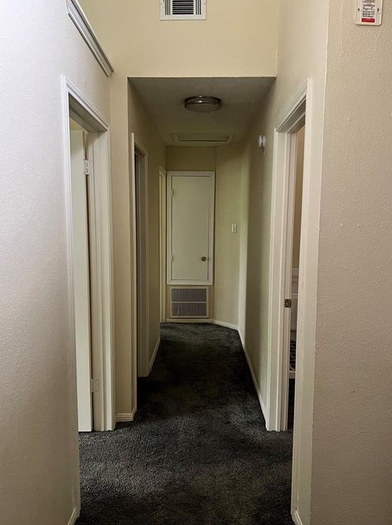 16631 Capewood Dr, Humble TX exterior