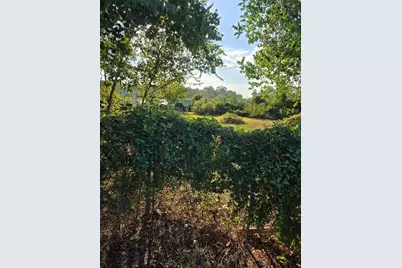 10021 Meadowvine Drive, Houston, TX 77044 - Photo 4