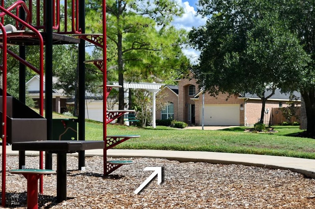 21134 Terrace Vine Ln, Spring TX  77379-8542 exterior