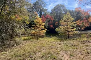 Tbd County Road 21681 East Off 223, Cleveland, TX 77327 - Photo 1