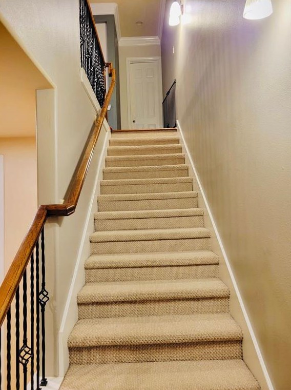 9123 Harbor Hills Dr, Houston TX  77054-6009 exterior